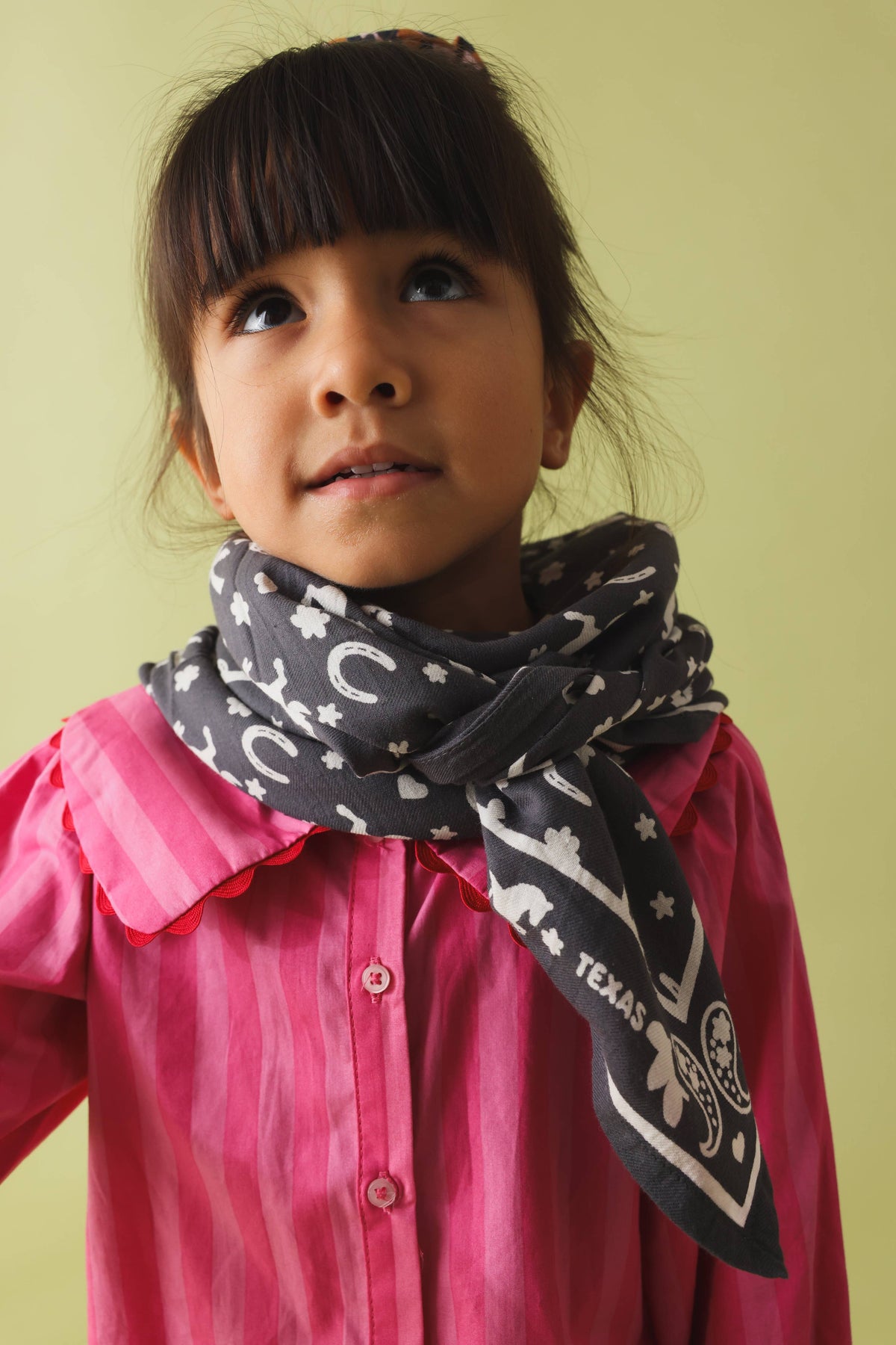 Foulard Louisette - Cowboy gris
